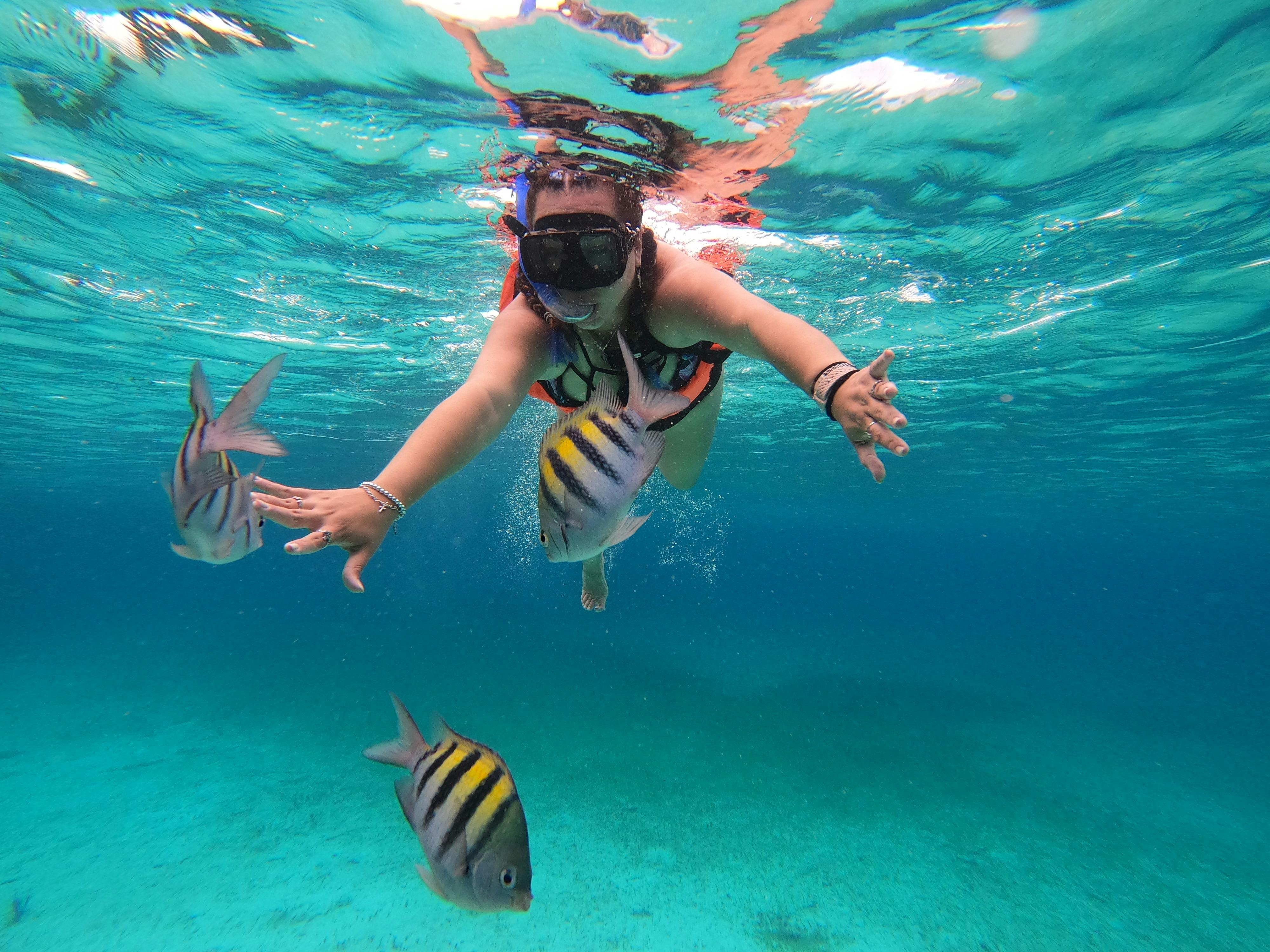 /images/cozumel-1.jpg