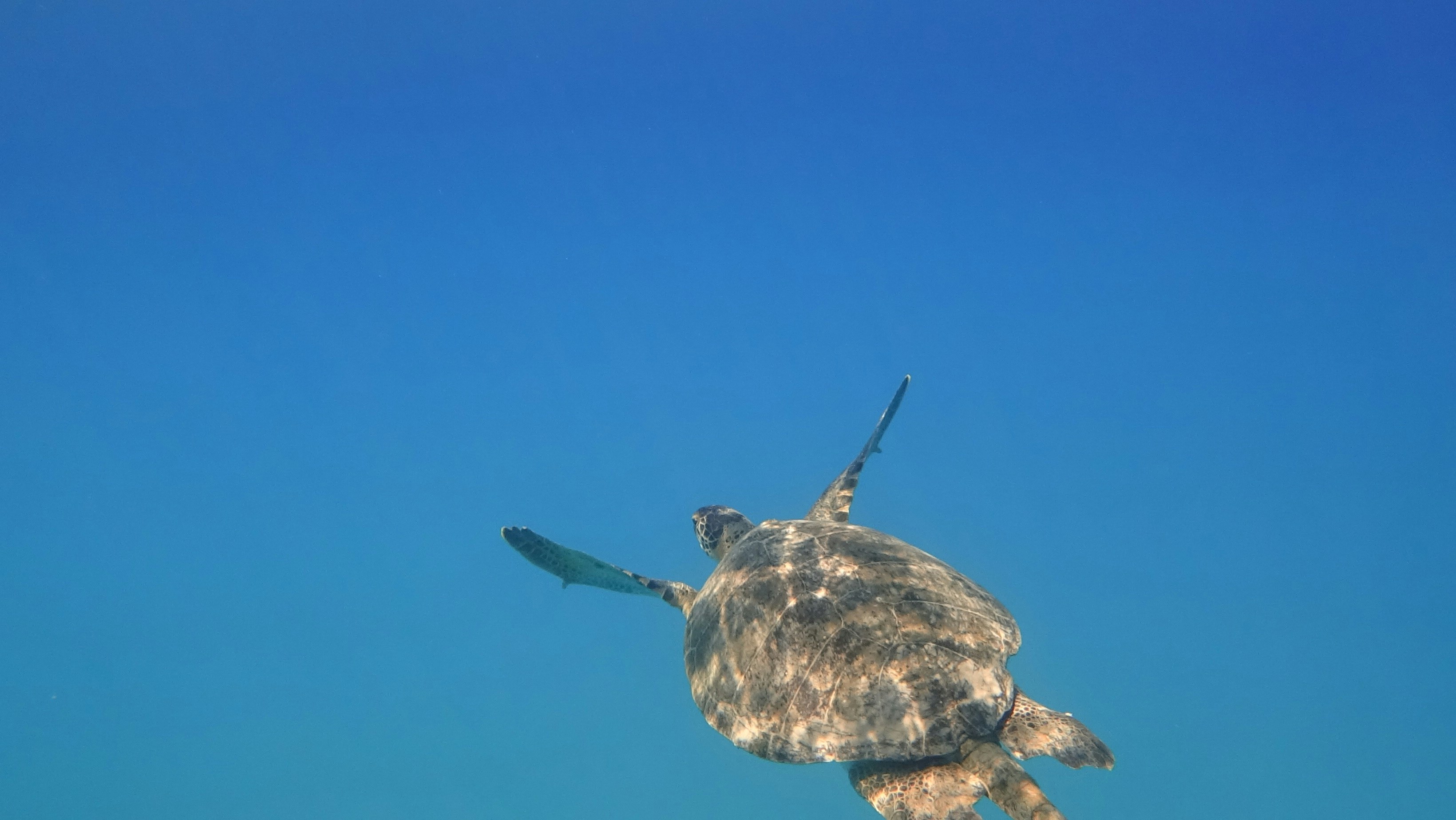 /images/cozumel-2.jpg