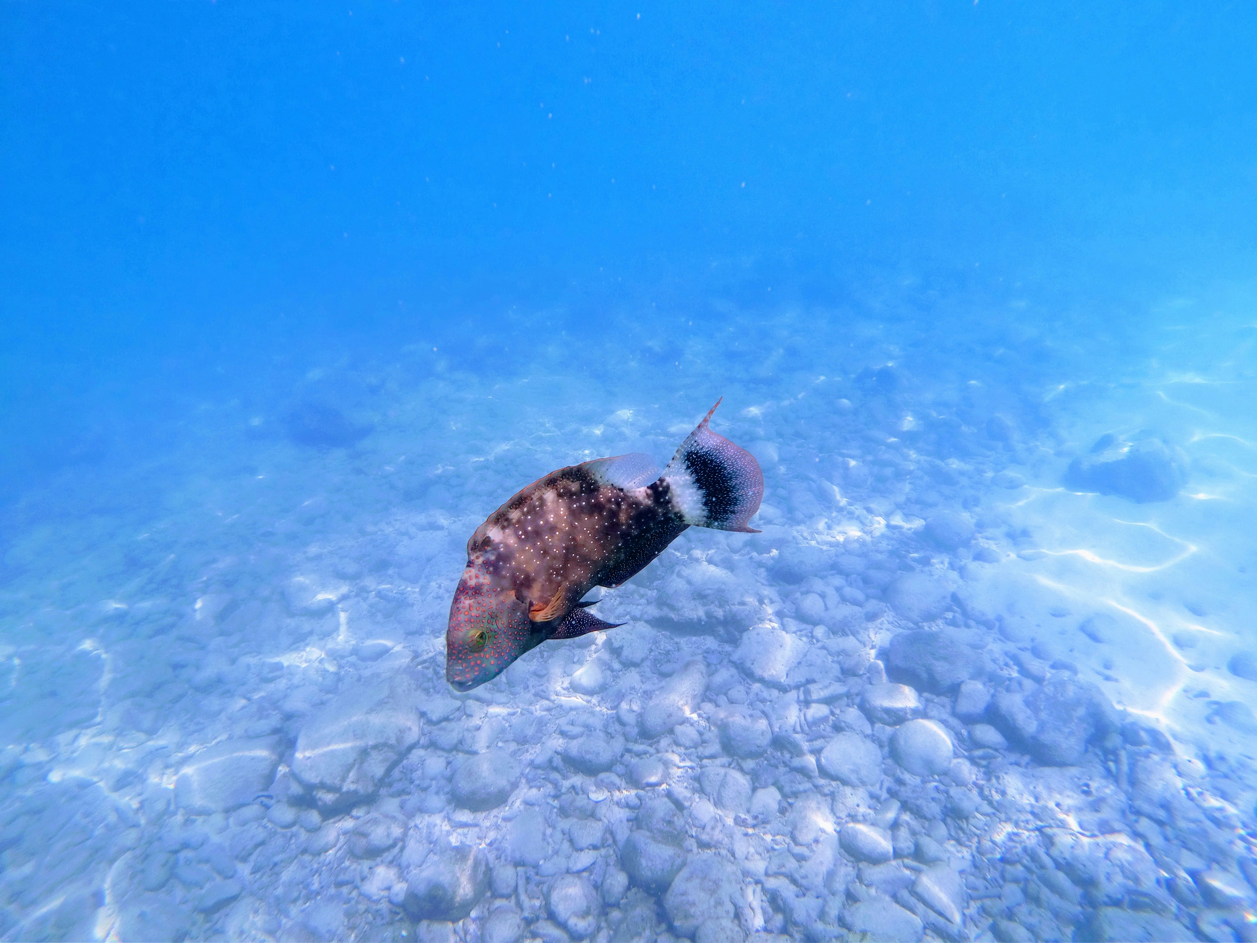 /images/cozumel-3.jpg
